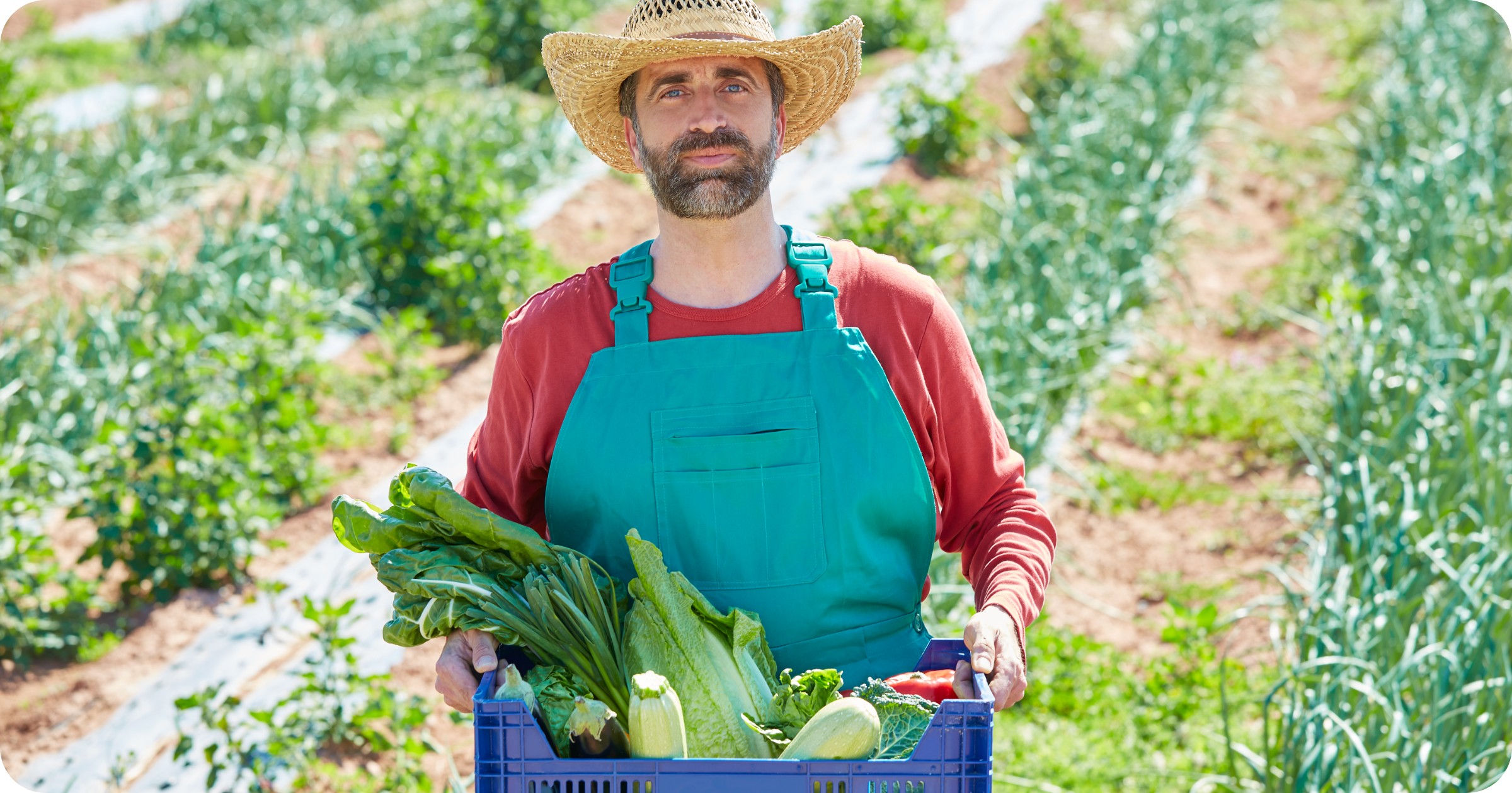 food producer