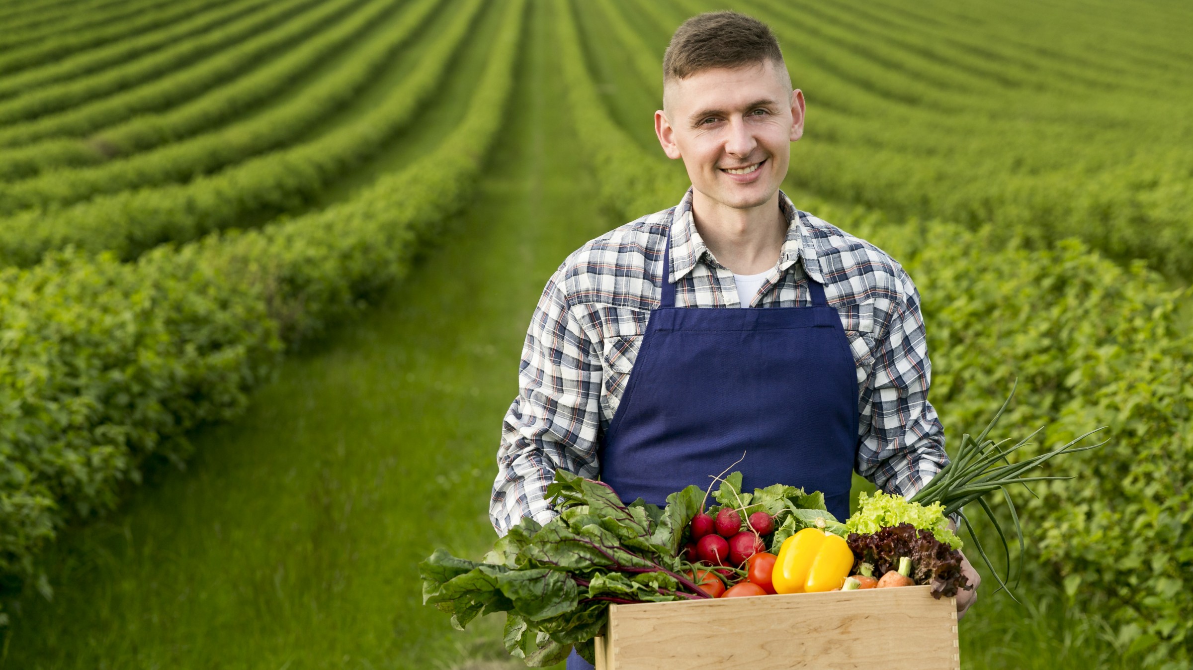 food producer