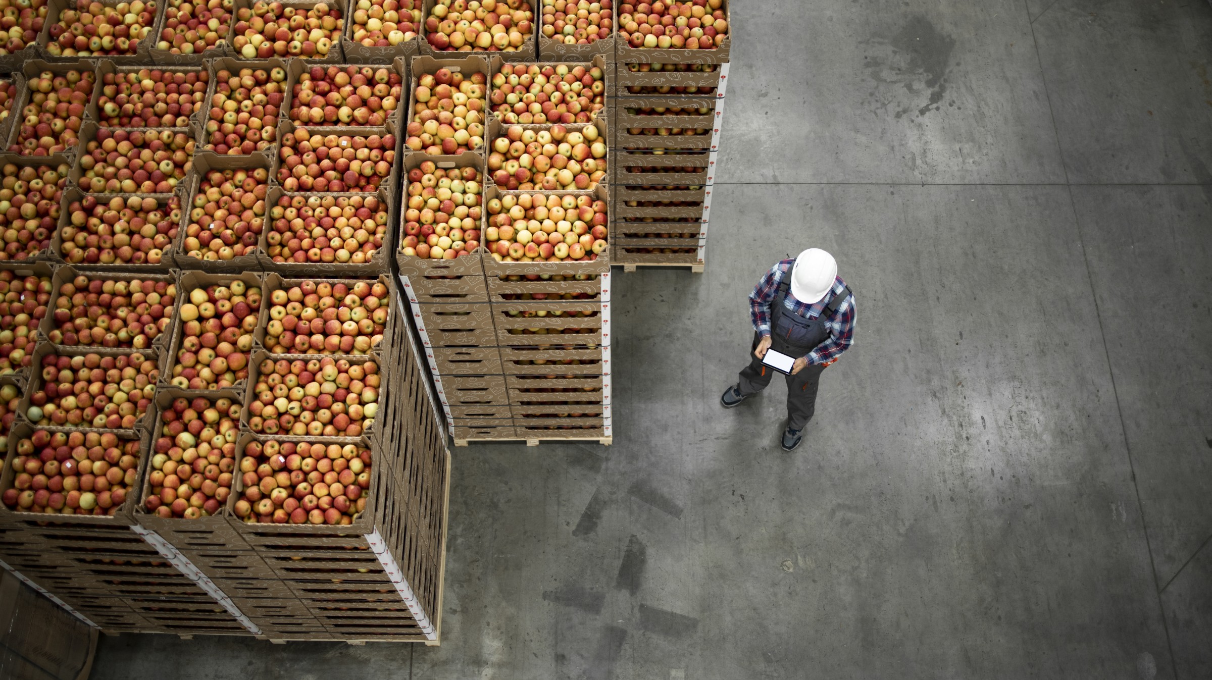 food producer