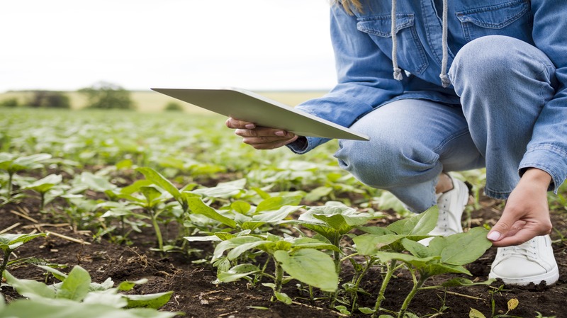 food producer